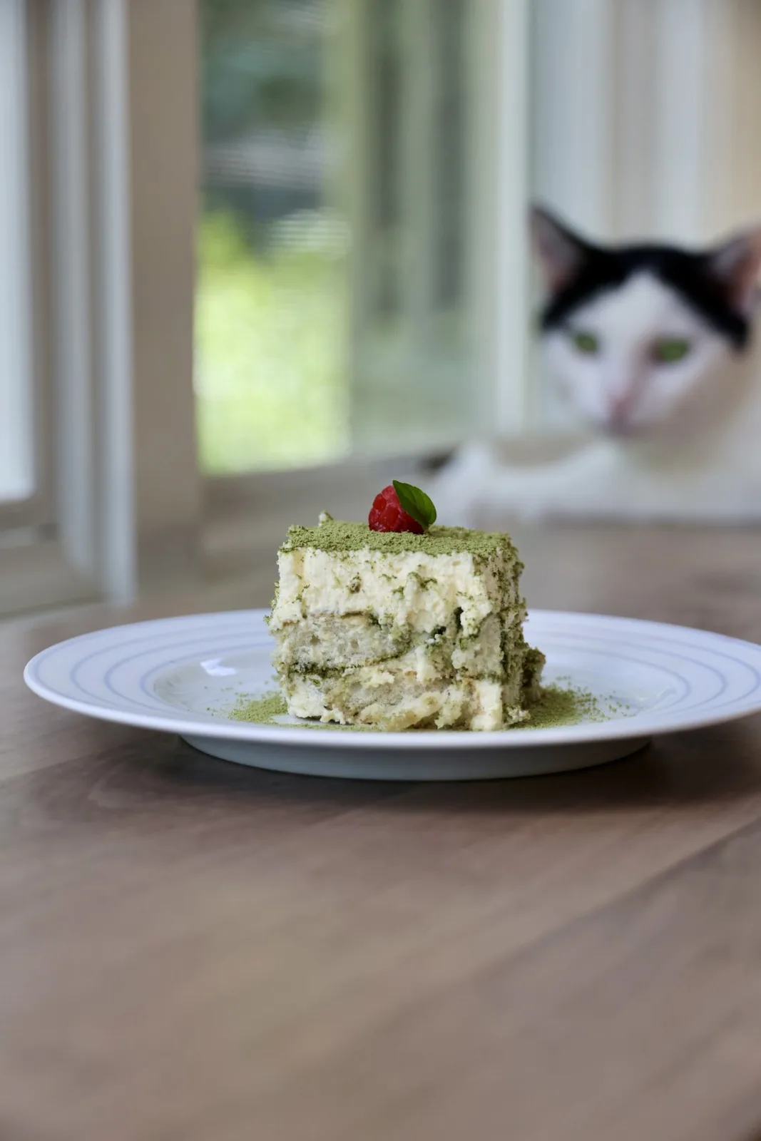 Matcha tiramisu